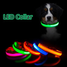 Load image into Gallery viewer, LED Lighted Dog Collar