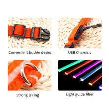 Load image into Gallery viewer, LED Lighted Dog Collar