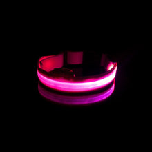 Load image into Gallery viewer, LED Lighted Dog Collar