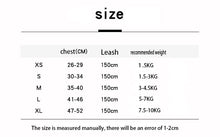 Load image into Gallery viewer, Pet Harness and Leash Set for Cat and Small Dog