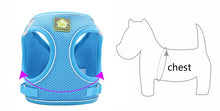 Load image into Gallery viewer, Pet Harness and Leash Set for Cat and Small Dog