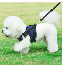 Load image into Gallery viewer, Pet Harness and Leash Set for Cat and Small Dog