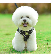 Load image into Gallery viewer, Pet Harness and Leash Set for Cat and Small Dog