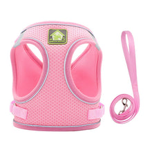 Load image into Gallery viewer, Pet Harness and Leash Set for Cat and Small Dog