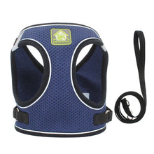 Load image into Gallery viewer, Pet Harness and Leash Set for Cat and Small Dog
