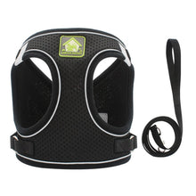 Load image into Gallery viewer, Pet Harness and Leash Set for Cat and Small Dog