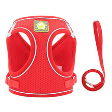 Load image into Gallery viewer, Pet Harness and Leash Set for Cat and Small Dog