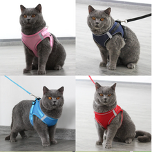 Load image into Gallery viewer, Pet Harness and Leash Set for Cat and Small Dog
